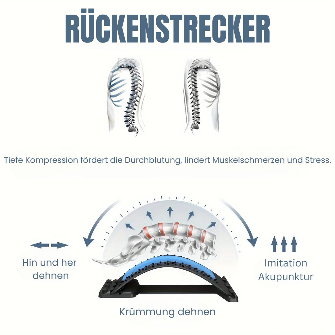 Flexi-Rücken Dehner