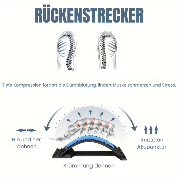 Flexi-Rücken Dehner